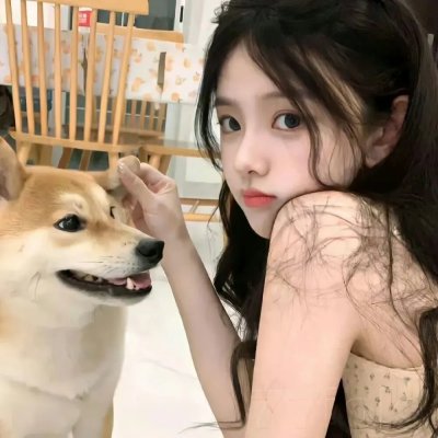 现代女性闯宫廷掀风云篇章